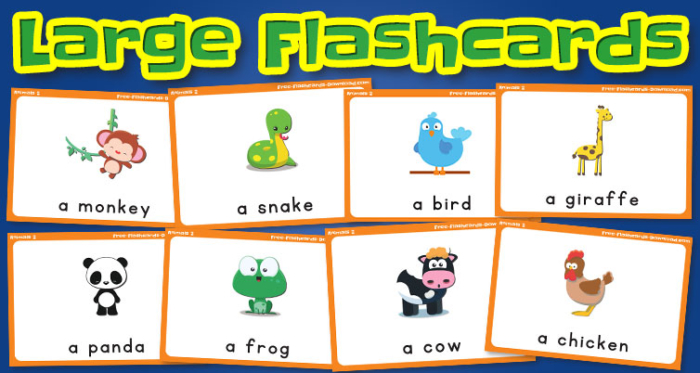 animals large flashcards set2 captions