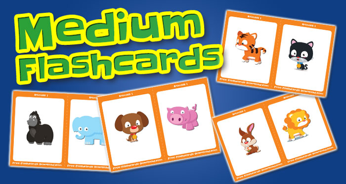 animals medium flashcards set1