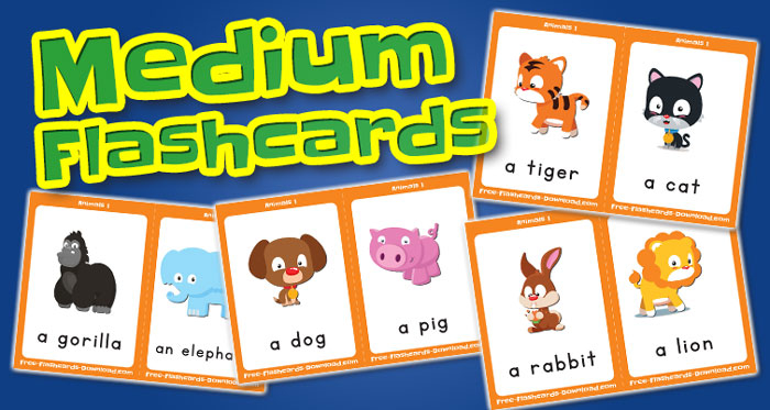 animals medium flashcards set1 captions