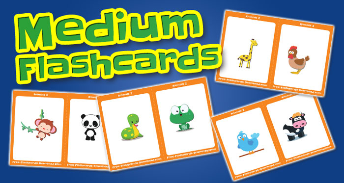 animals medium flashcards set1